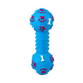 Durable Rubber Dumbbell Chew Toy