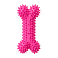 Premium Spiky Dental Bone Dog Toy